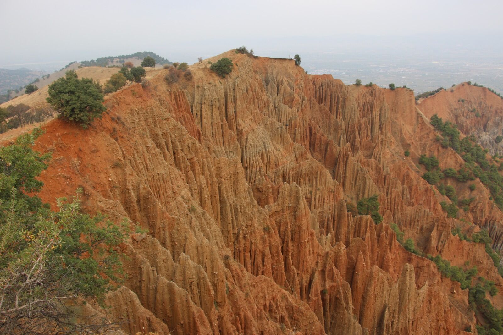 Whatsapp Image 2024 03 09 At 17.42.19