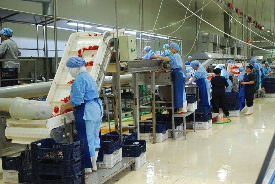 Whatsapp Image 2024 03 12 At 11.40.53 (4)