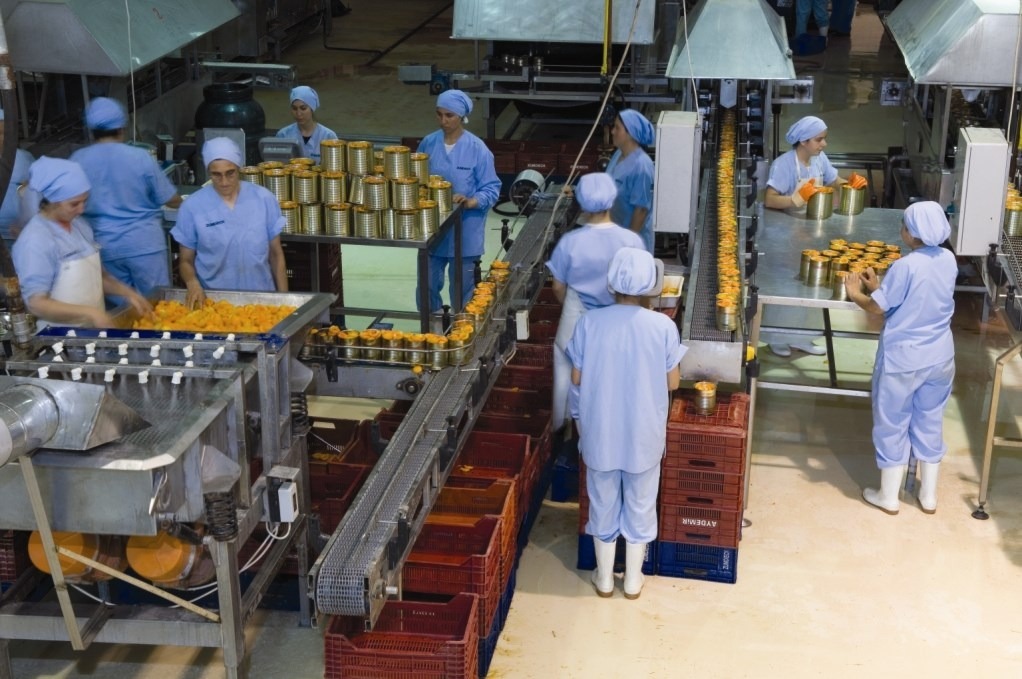 Whatsapp Image 2024 03 12 At 11.40.53 (5)