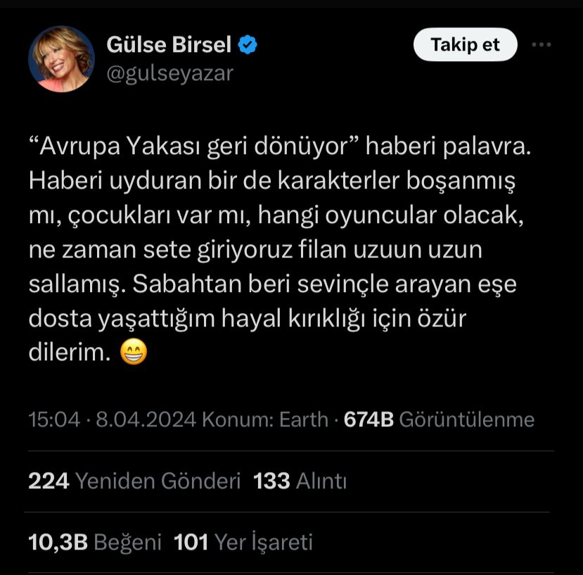 Gülse Birsel Açıklama
