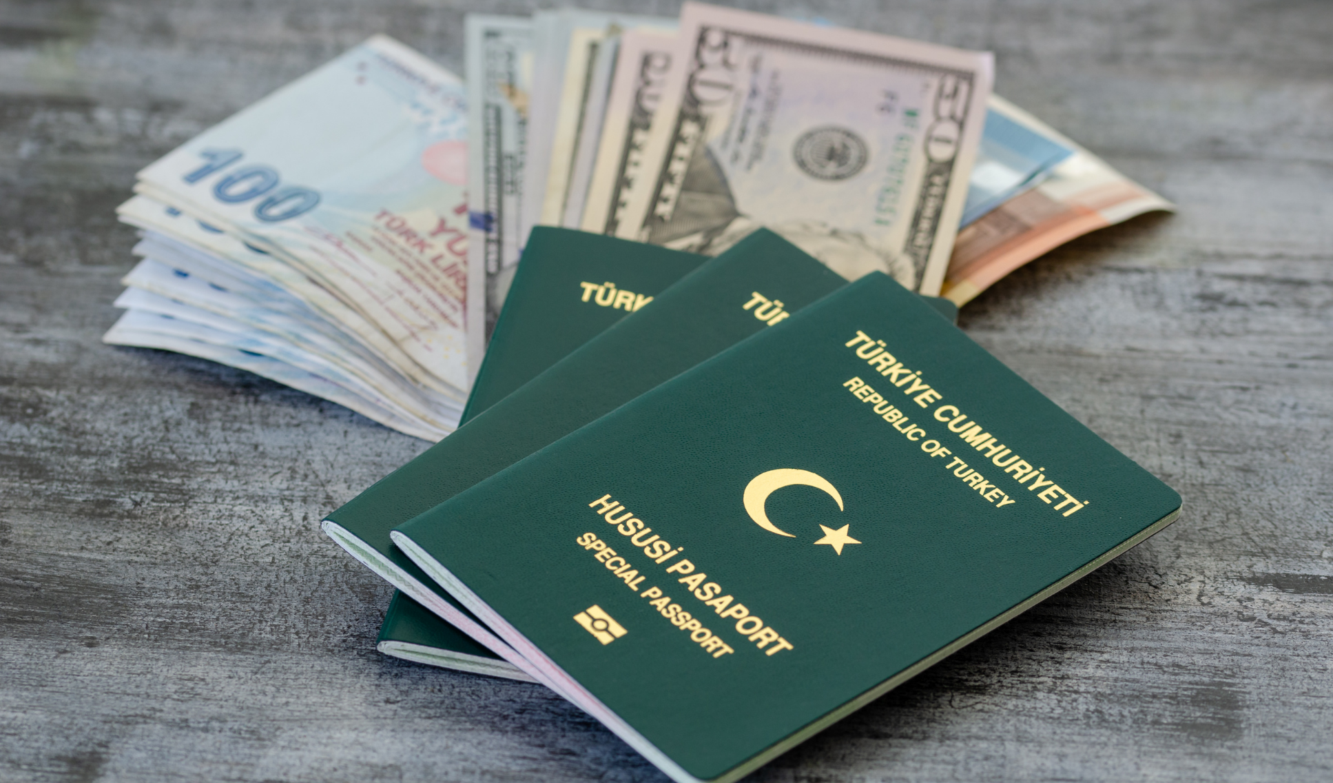 Pasaport Ücretleri 2024 (4)