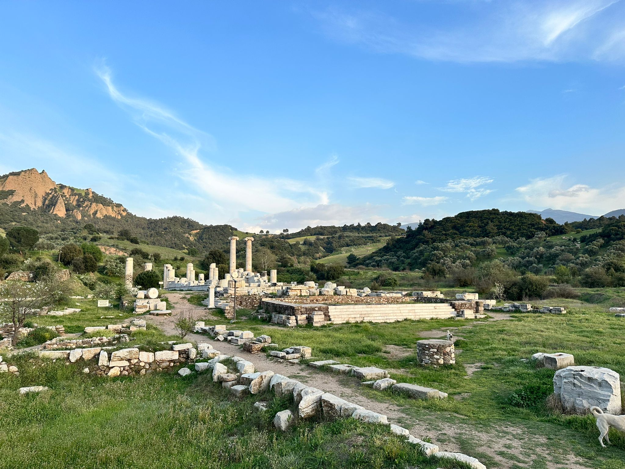 Sardes (6)1