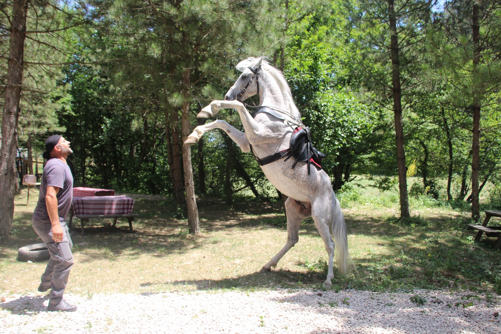 Whatsapp Görsel 2024 06 26 Saat 17.53.04 A6630510