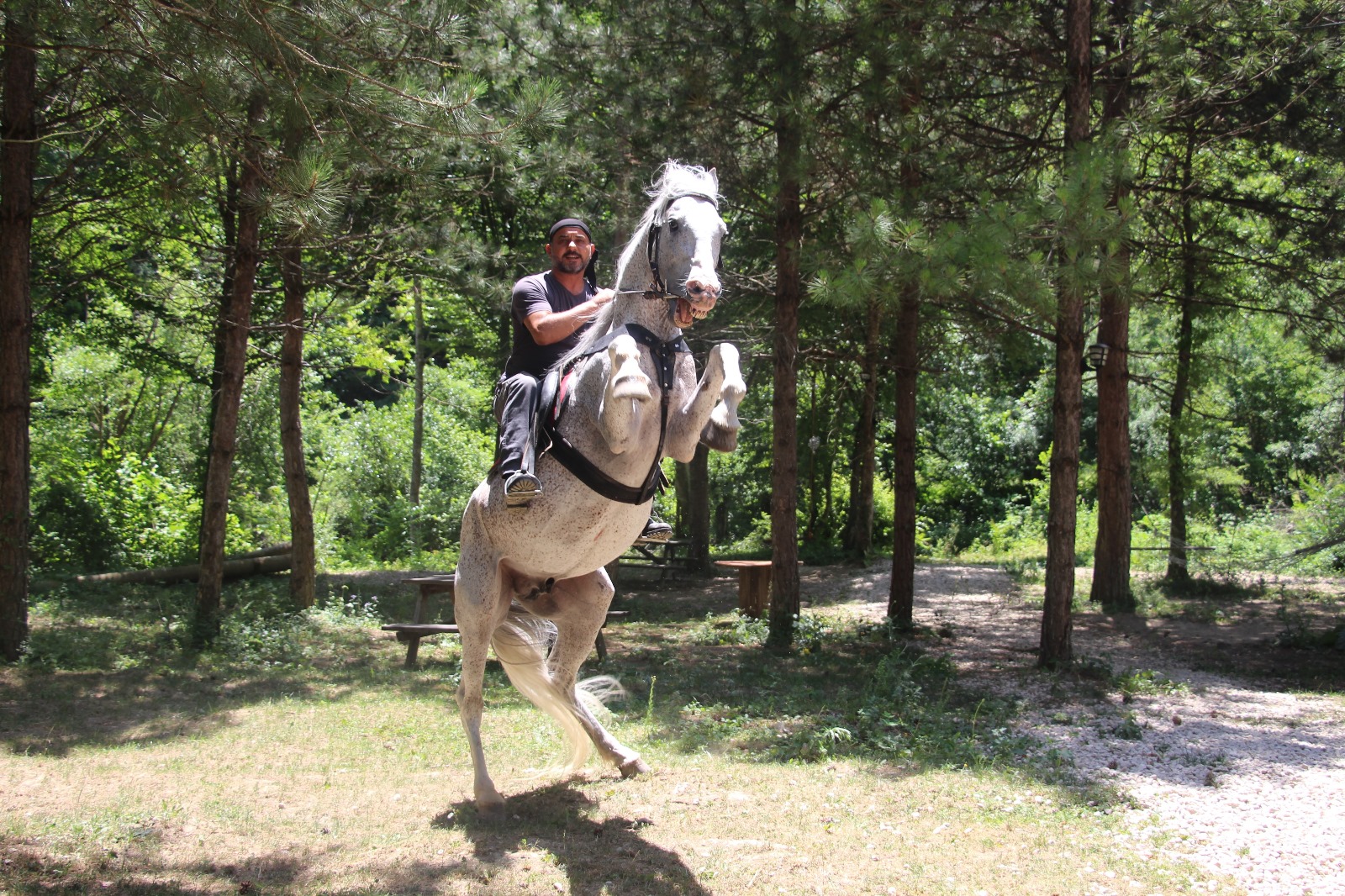 Whatsapp Görsel 2024 06 26 Saat 17.53.04 E8299503