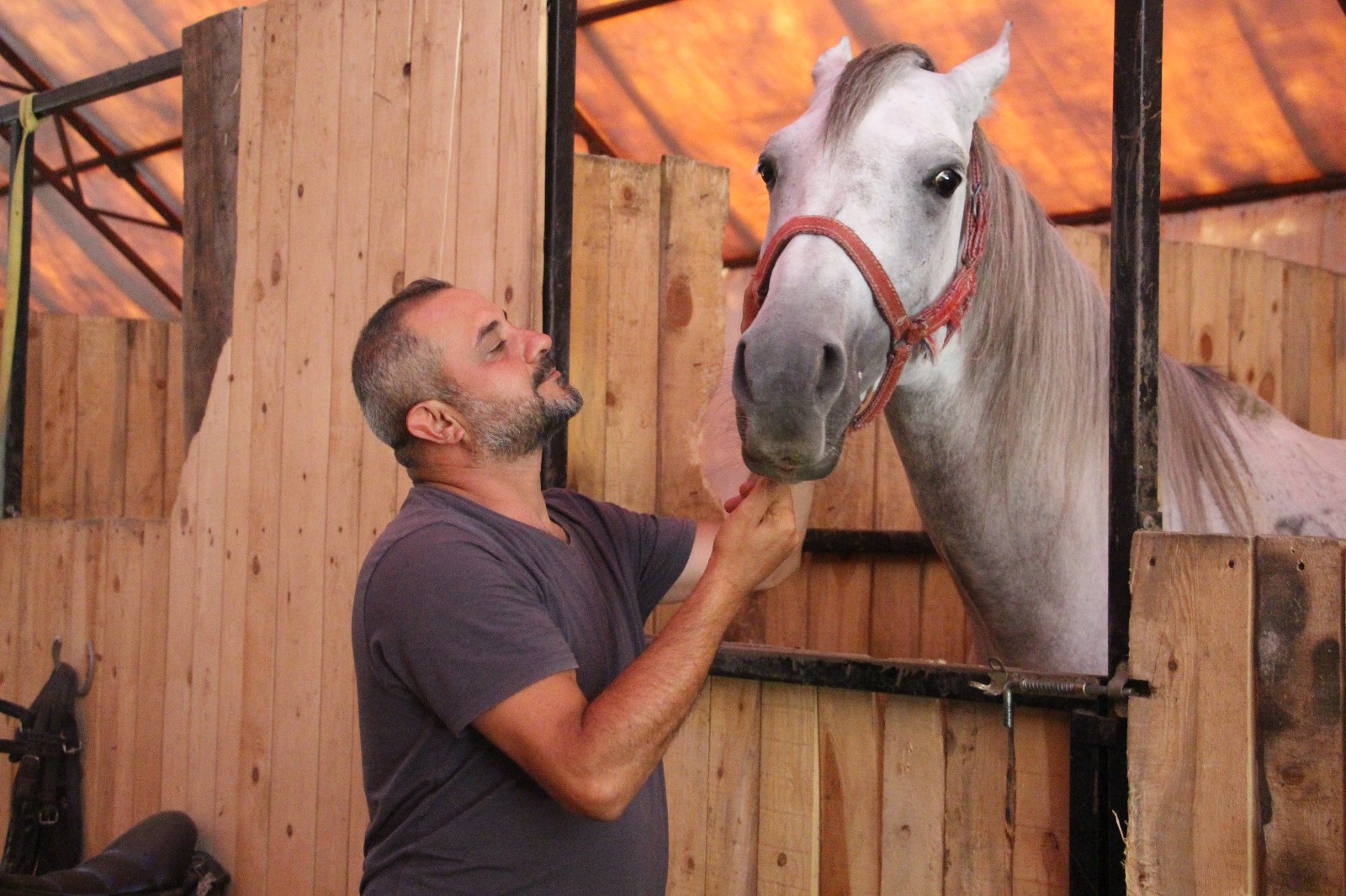 Whatsapp Görsel 2024 06 26 Saat 17.53.05 8D4Dda35