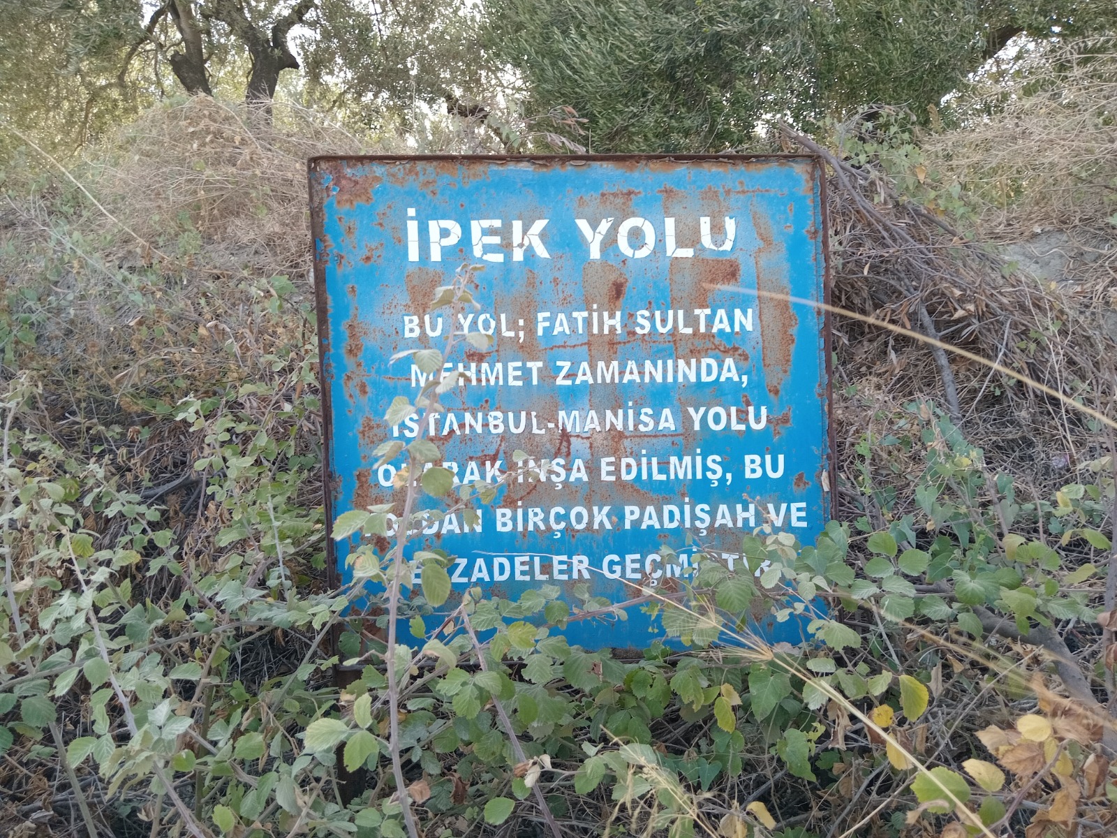 Padi̇şah (2)