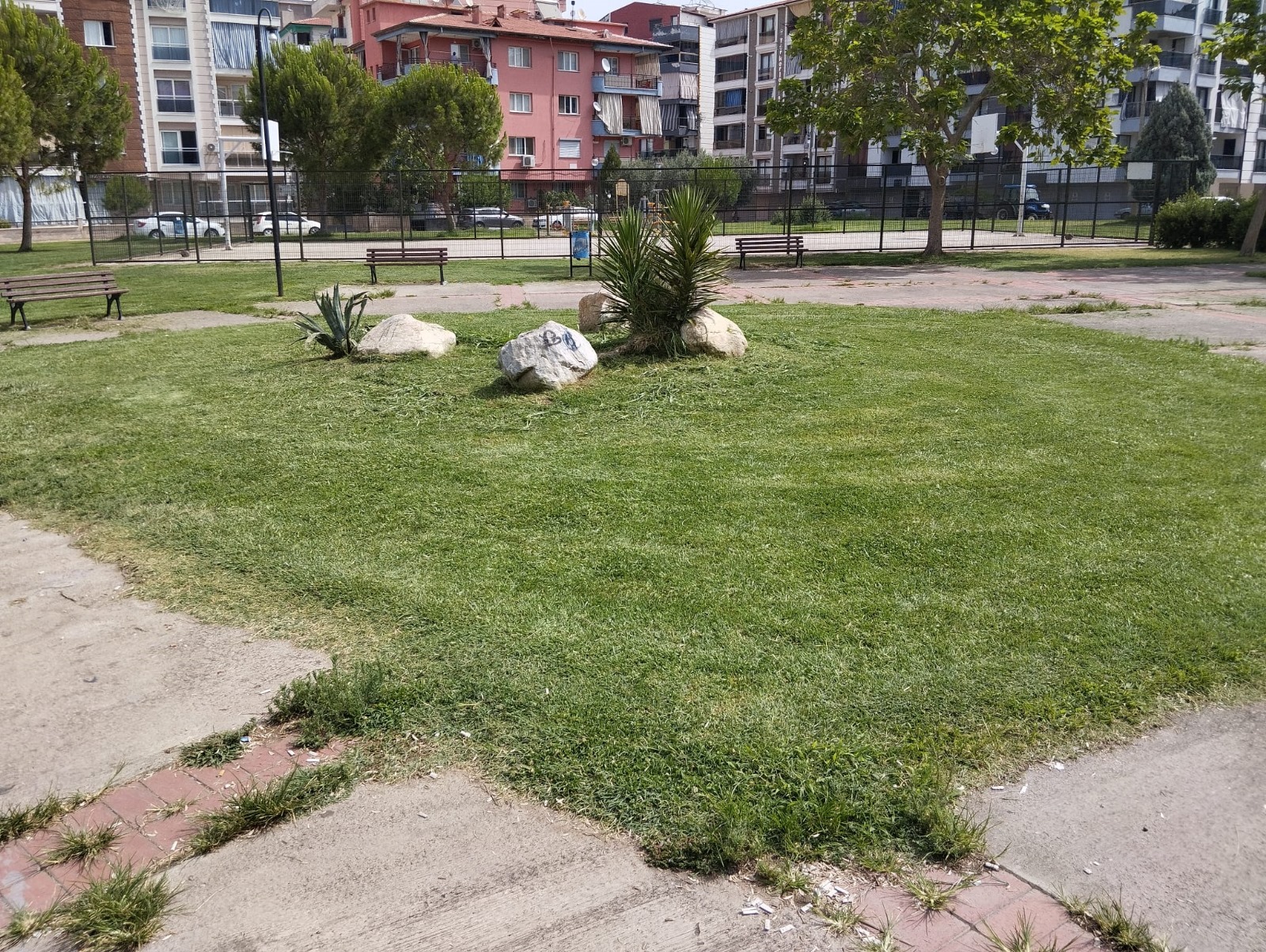 Parkkk (4)