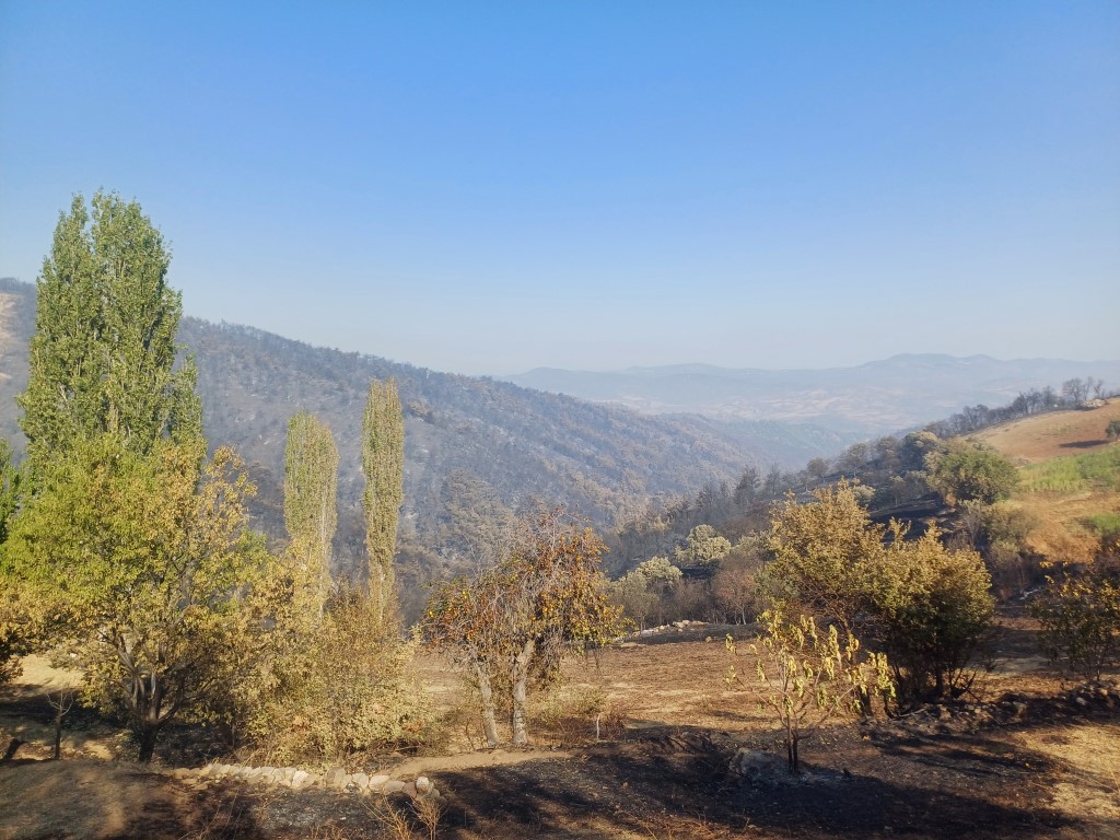 Kale Mahallesi Yangın Faciaa (1)