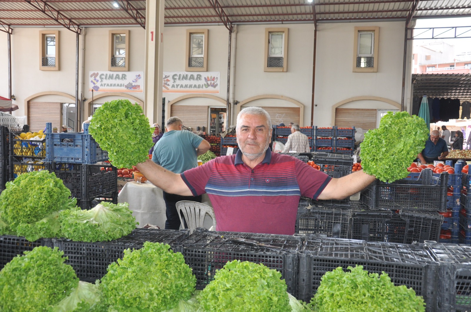 Pazardaki Guncel Fiyatlar 20 Agustos Carsamba6.56 7