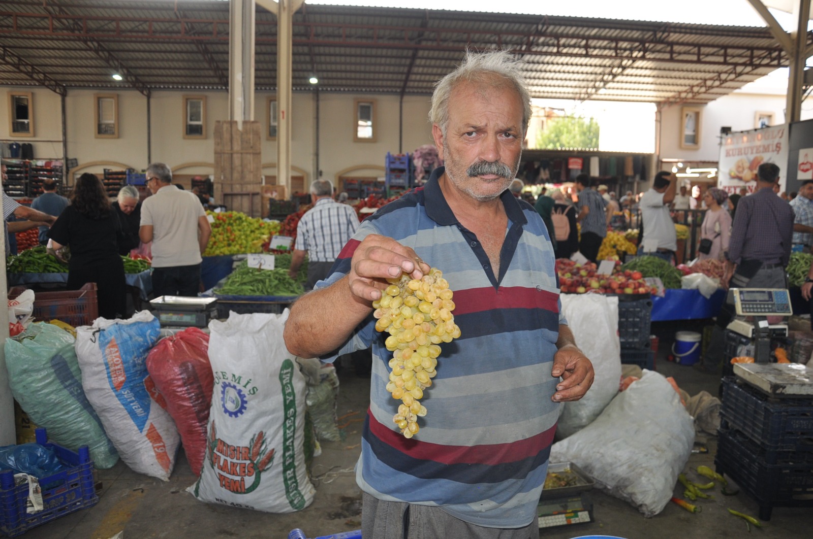 Pazardaki Guncel Fiyatlar 20 Agustos Carsamba7.00 2