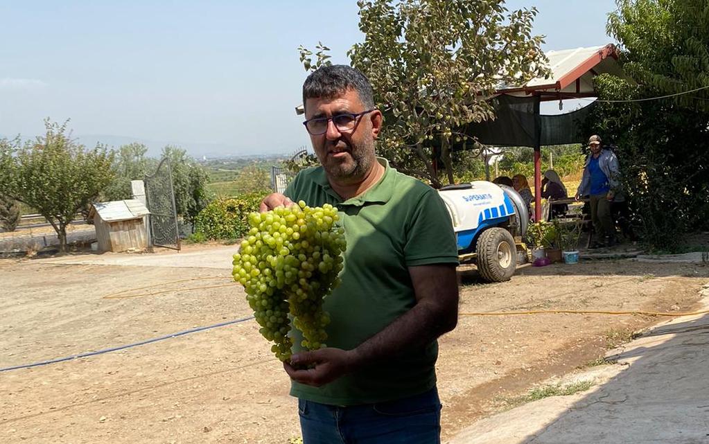 Salihlide 5 Kiloluk Dev Uzum Salkimi