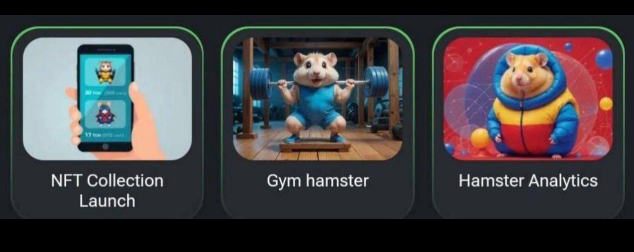 17 Eylul Hamster Gunluk Kombo Kartlar