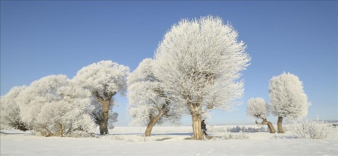 Soğuk Hava (2)-3