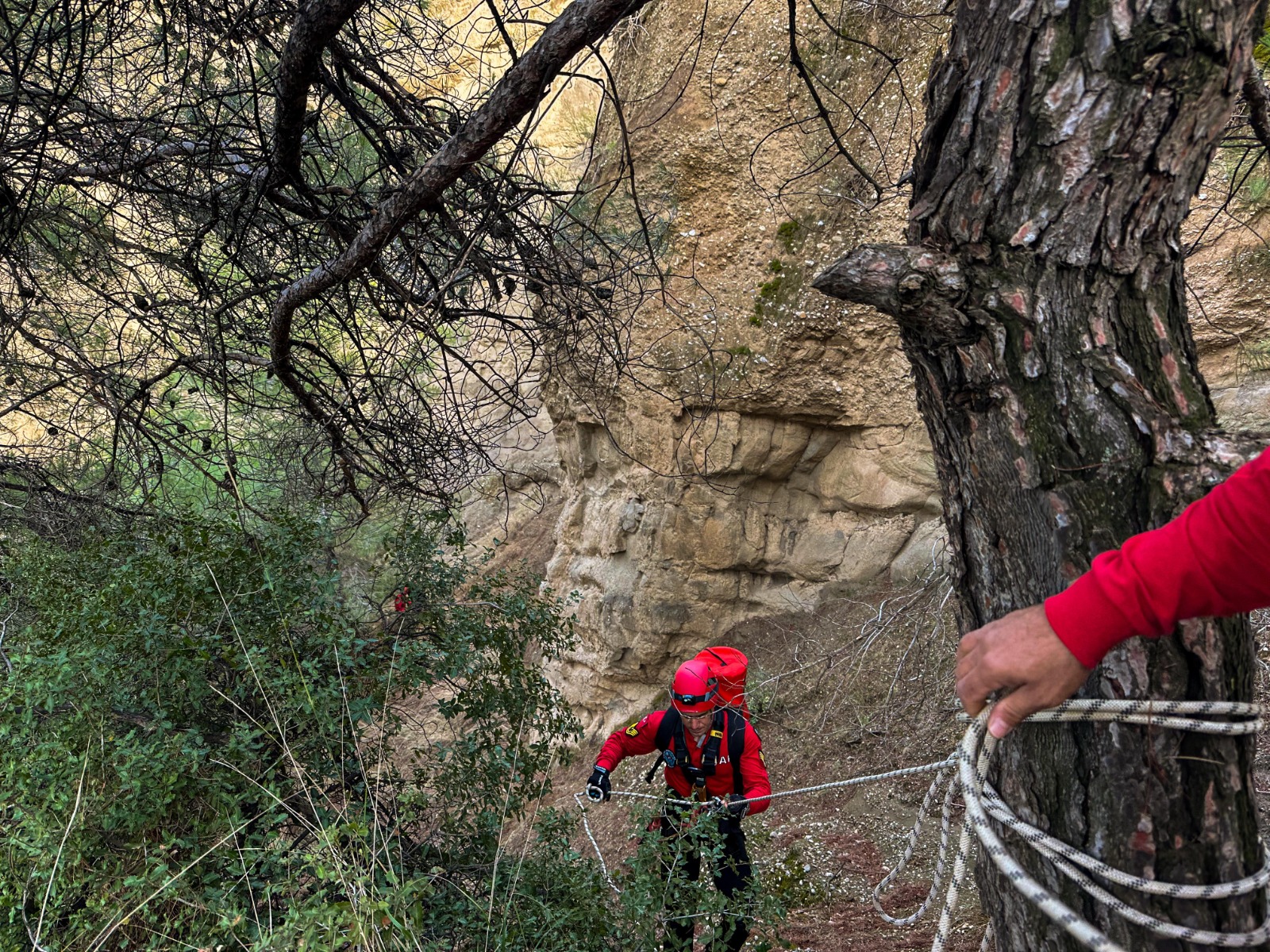 Da43A537 42Bb 4D53 A1Aa Ab99Cee61Abe