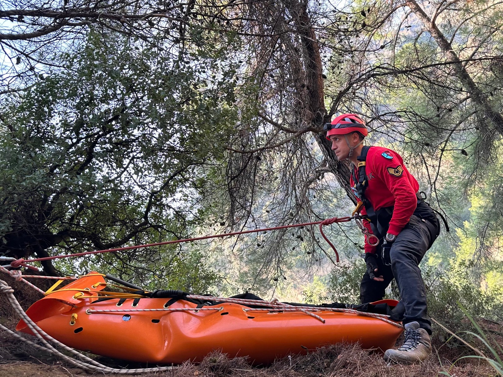 F03F380F 2472 4826 Bc02 E4644E16A621