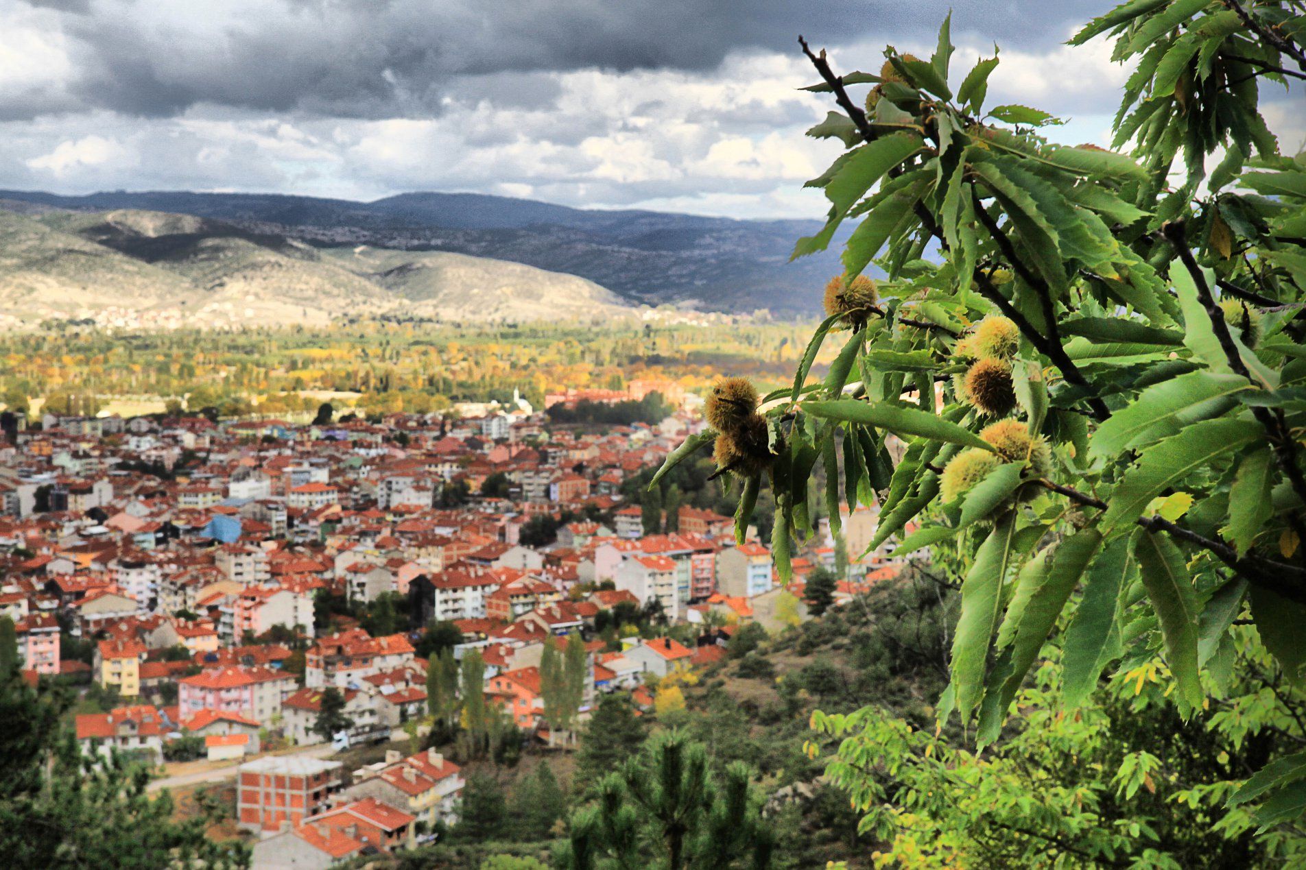 Salihli'den Simav’a Otobüs Bileti Ne Kadar