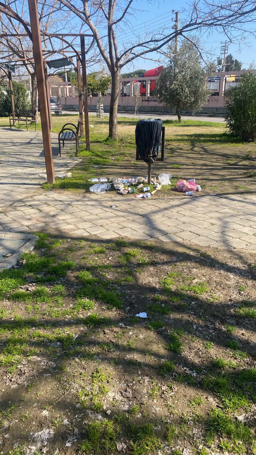 Whatsapp Image 2025 03 05 At 13.07.12