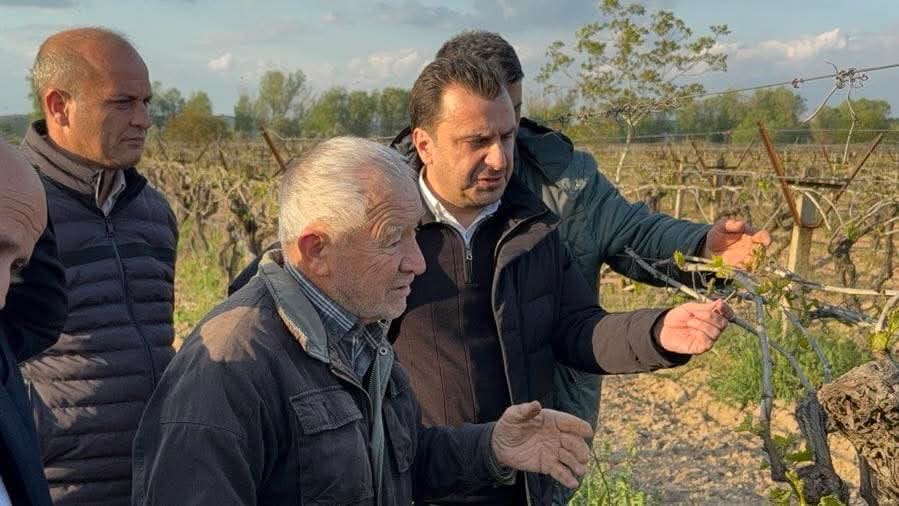 Başevi̇rgen (1)