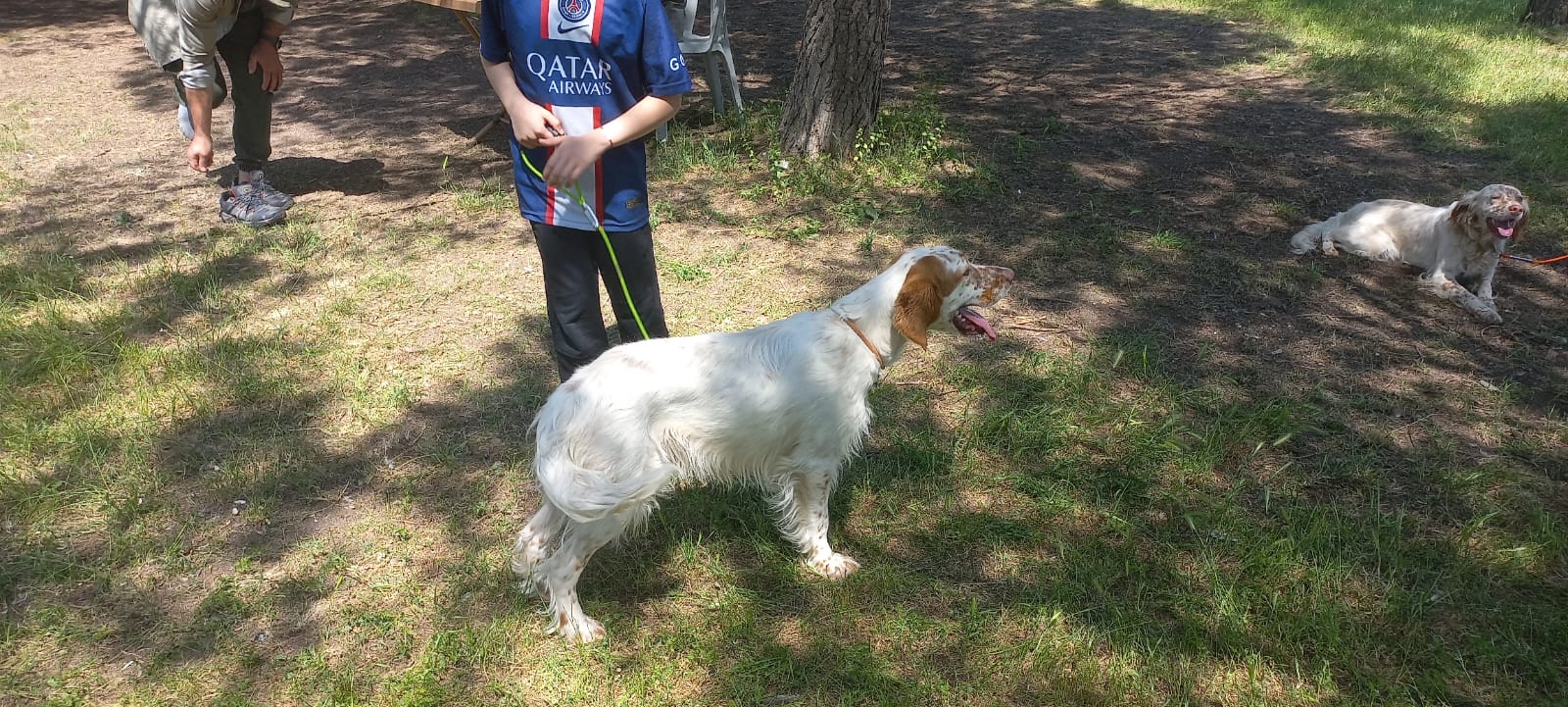 Ca1Ac69E 55Dc 4299 862F E0492Ef8D812