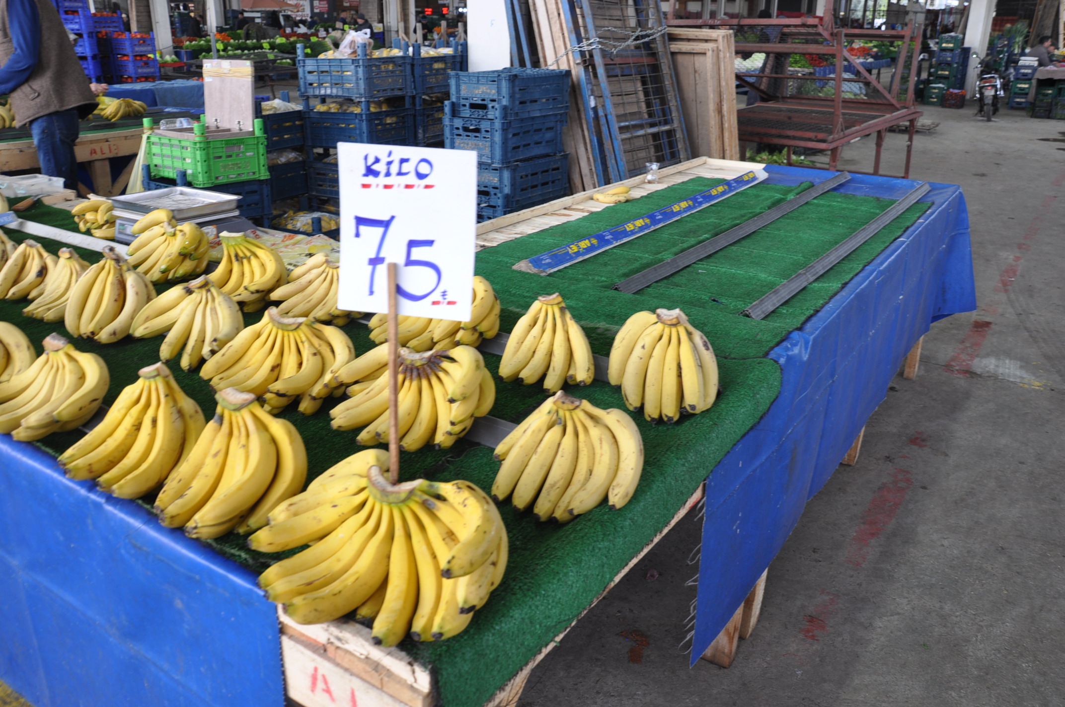 D S C 0274-1