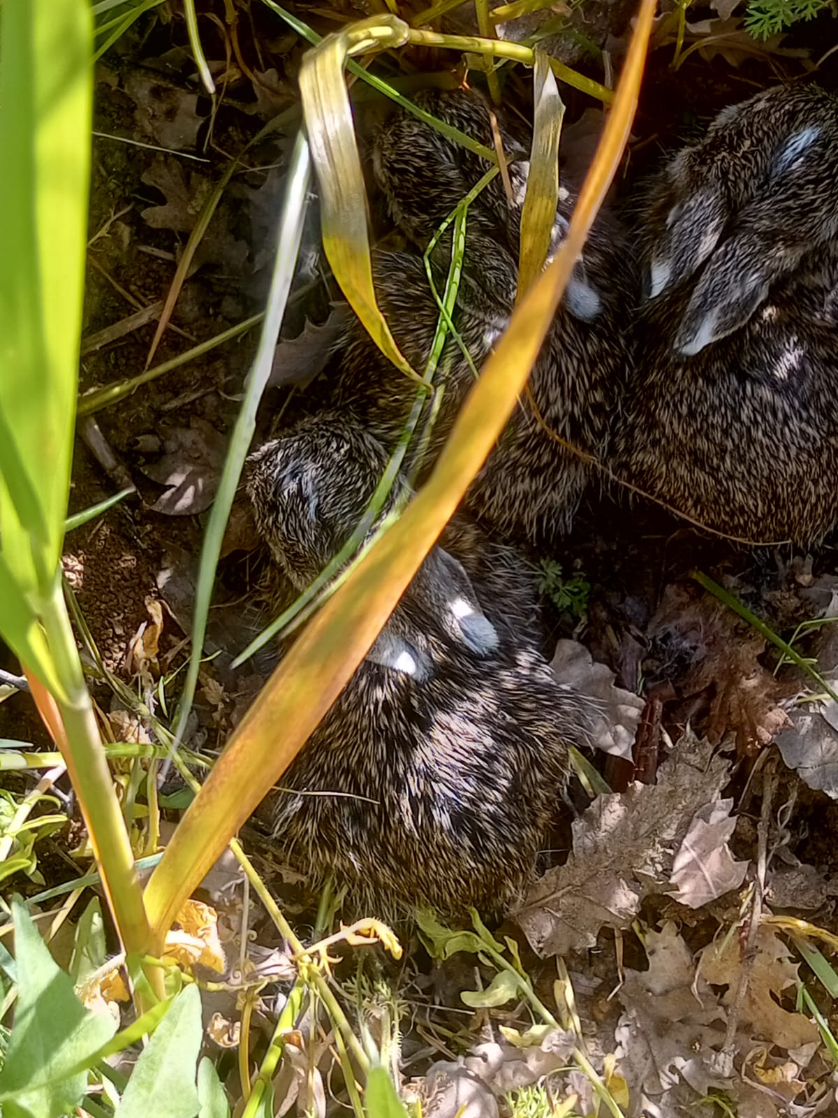 D157Af0F Eaf1 400B 8B3D A31F6Da52B20