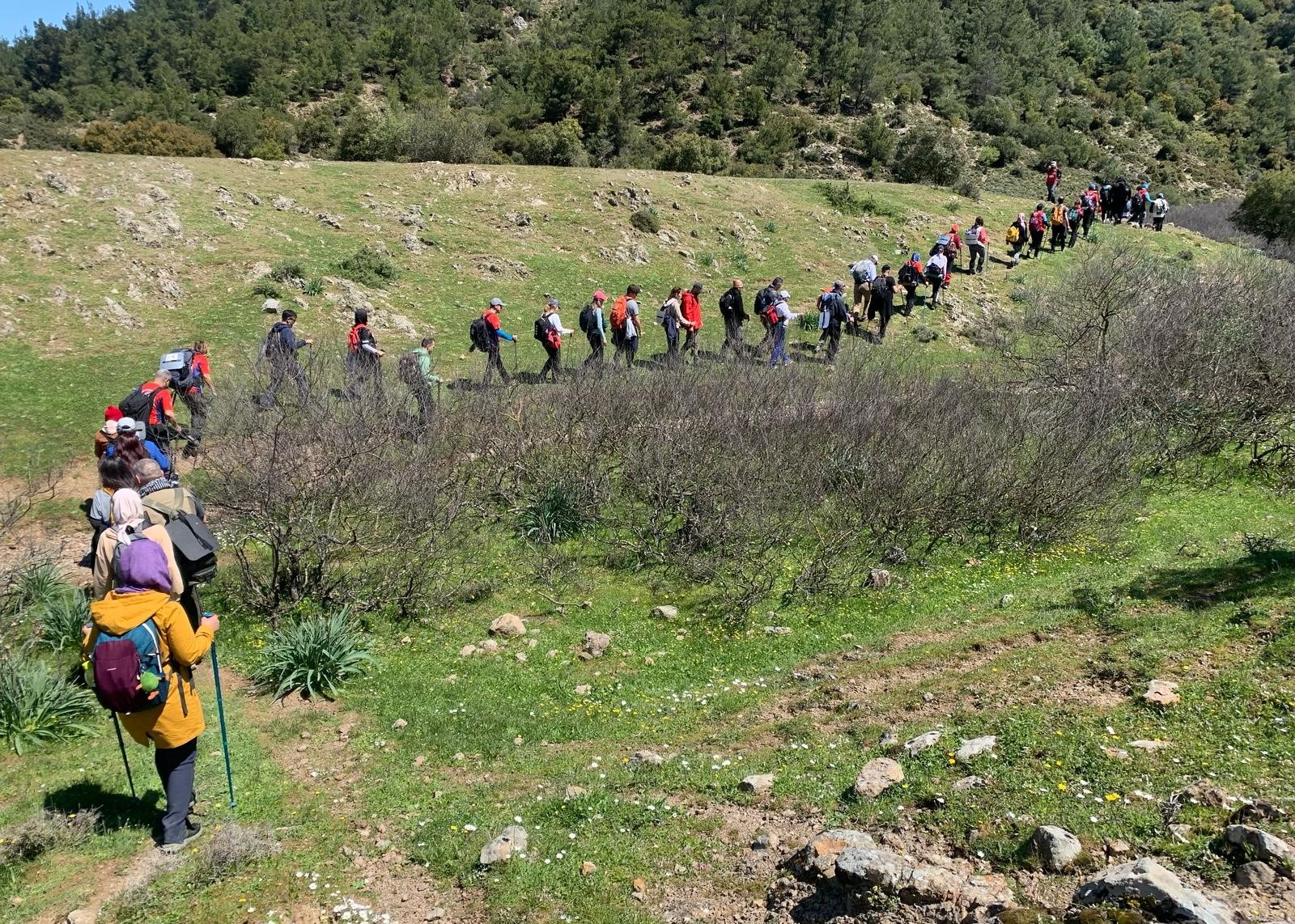Doğa (4)-1