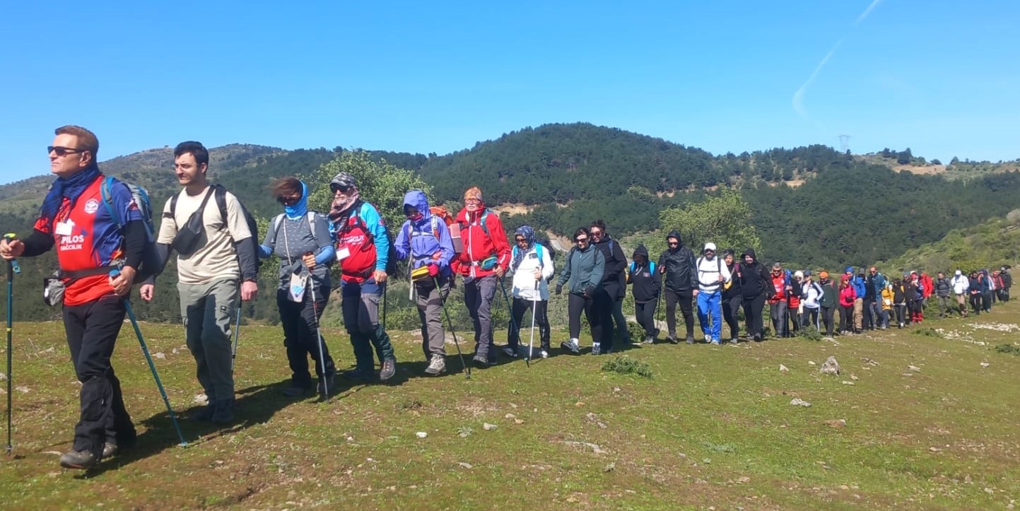 Doğa (7)