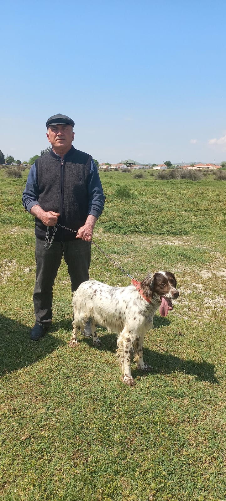 Ea0B5622 6Eee 4Fe8 945C F92C9390B080