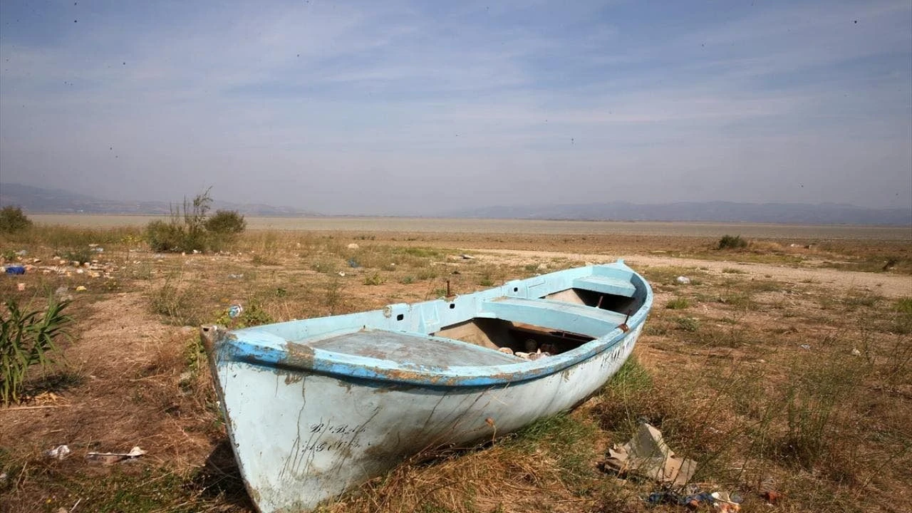 Whatsapp Image 2025 01 01 At 155920 2