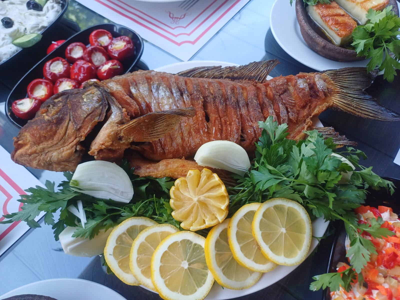 3Caf50A2 4D9B 496C 8513 B1C049398B3B