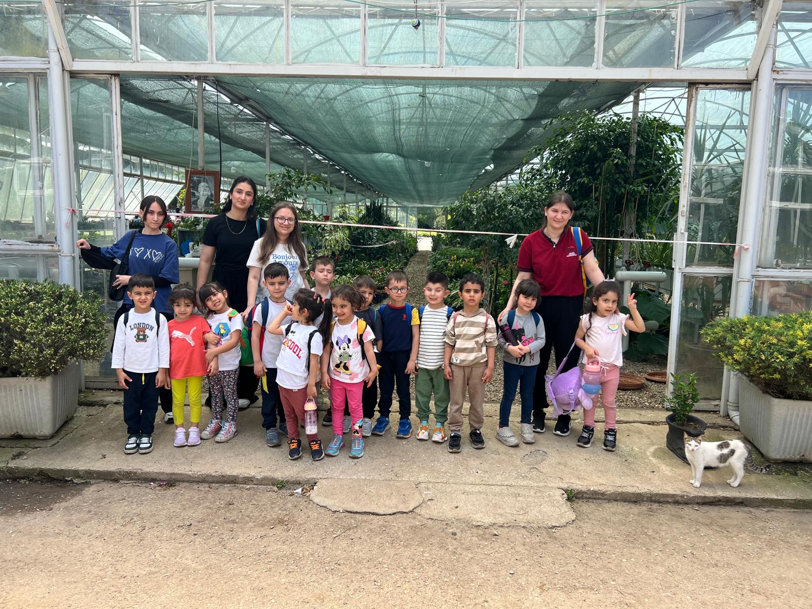 58224C54 Ffdf 47E8 90E5 40898Eae3802