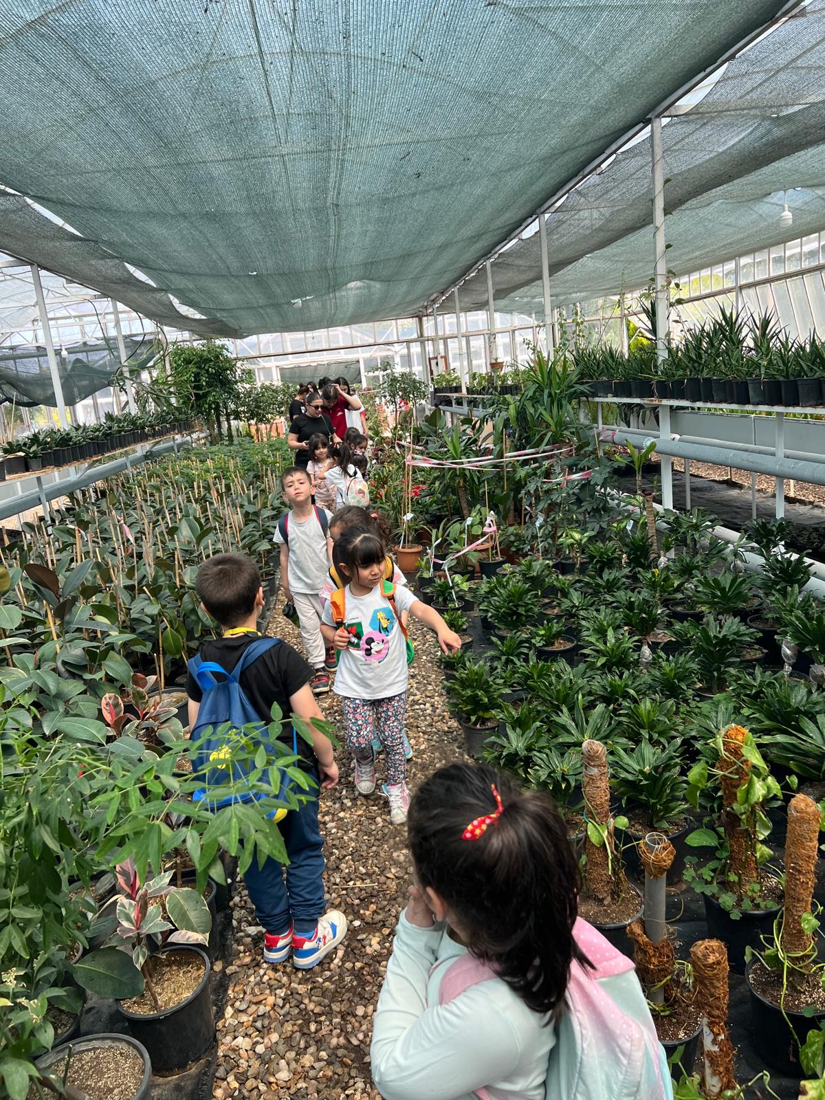 8F0Cb534 7E47 4E2B B6Fd Eb1Dd5C61Dc0