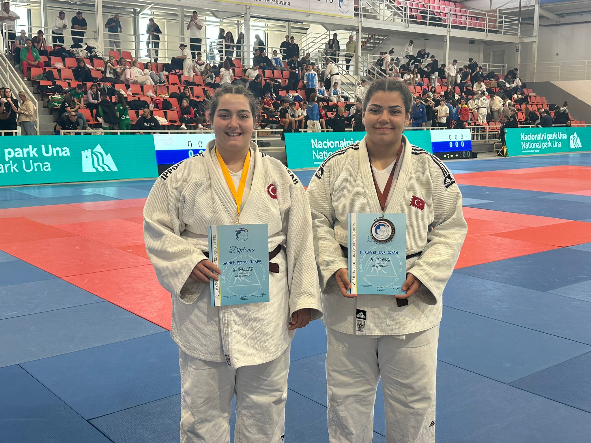 918B16Ff 14C9 476D 9804 25C2148F5953