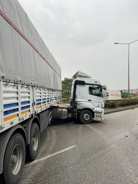 Ca11E26A 4980 4Cc0 B61A Abd300D8548F