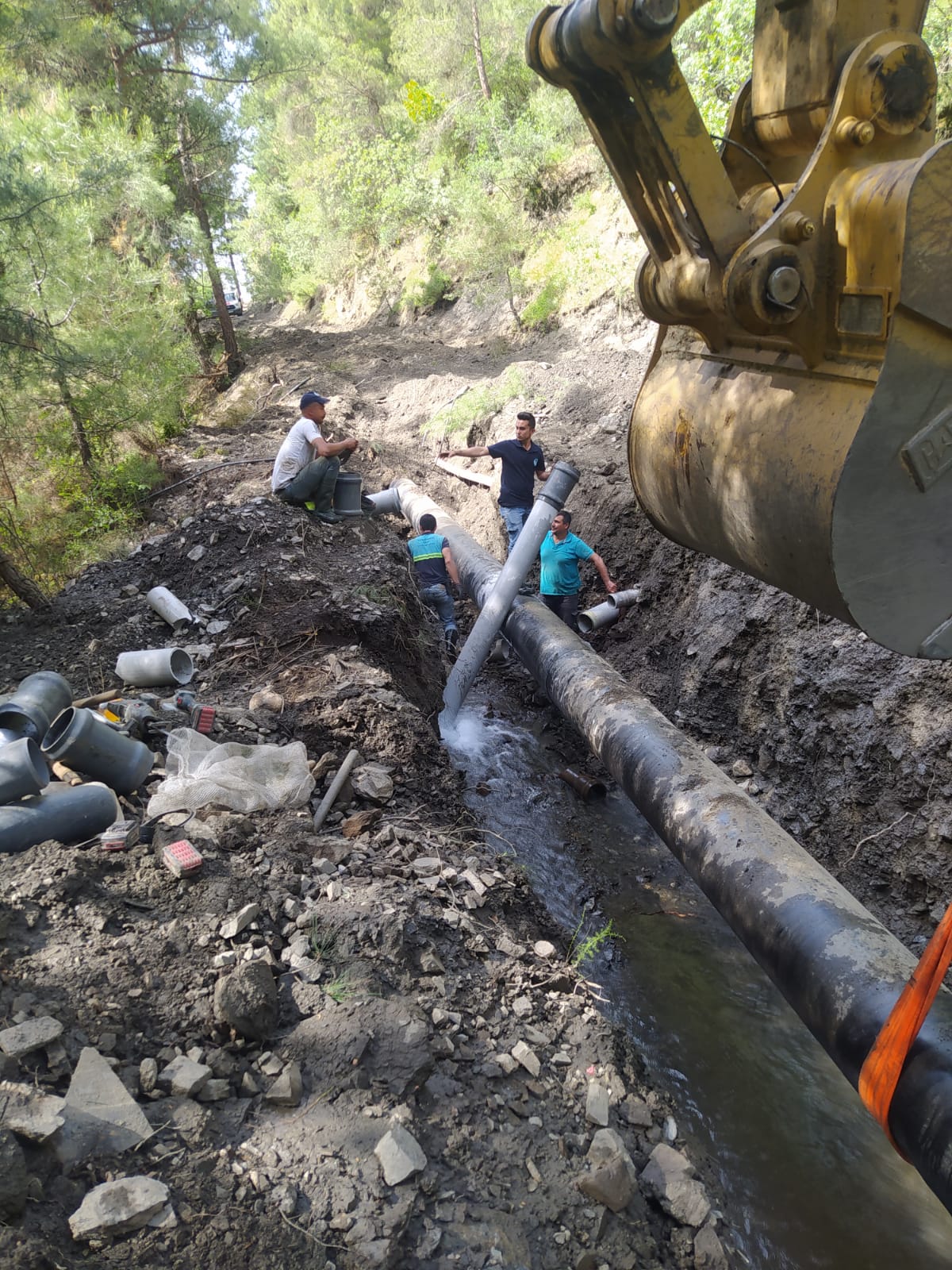 Df64B143 9Ee7 418F 879C 20A5C405A95B