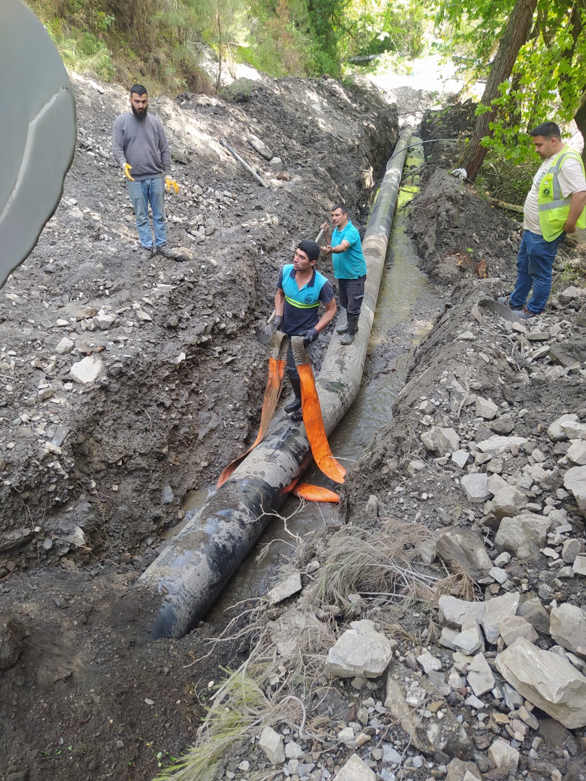 E1F632Dd 7Fef 45Ca Aeaa 3Db6B888C063