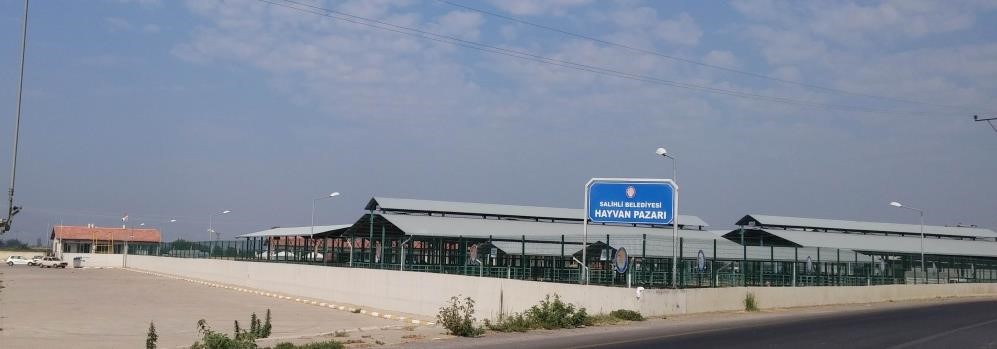 Hayvan Pazari (2)