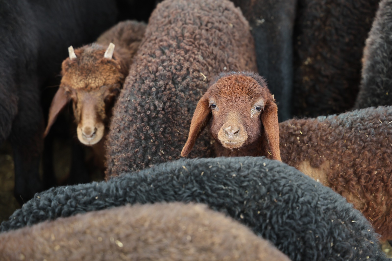 Whatsapp Görsel 2025 05 23 Saat 15.58.52 26Ffb091