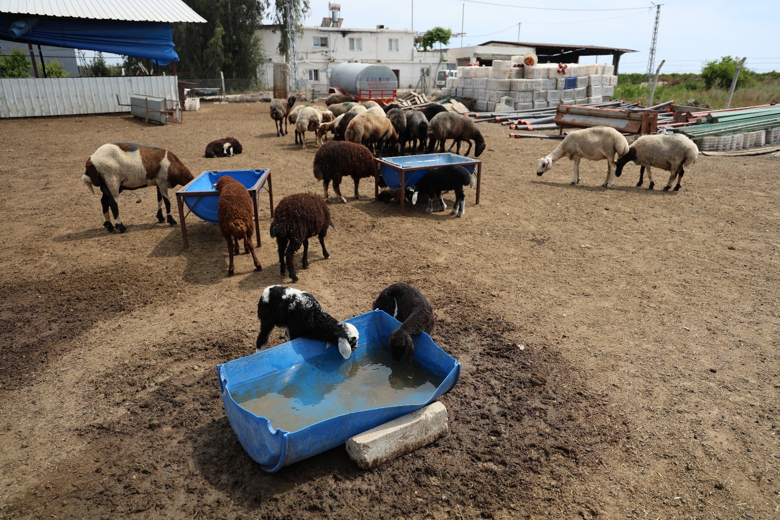 Whatsapp Görsel 2025 05 23 Saat 15.58.52 2D7Fa597