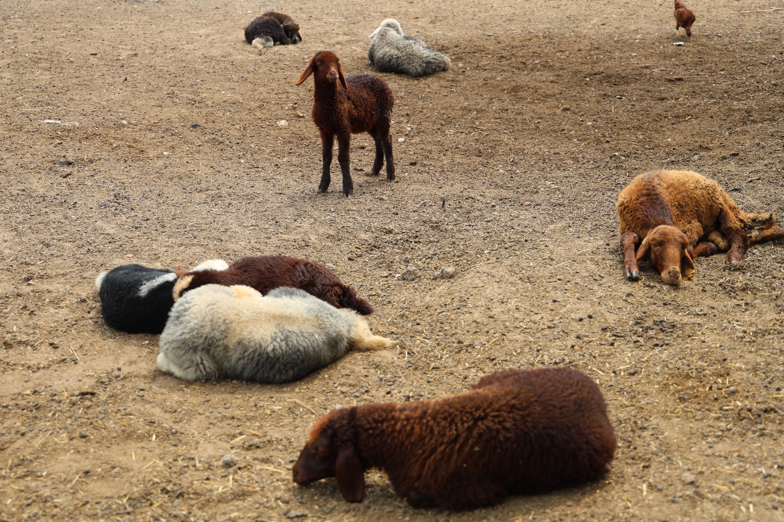 Whatsapp Görsel 2025 05 23 Saat 15.58.53 2Be51993