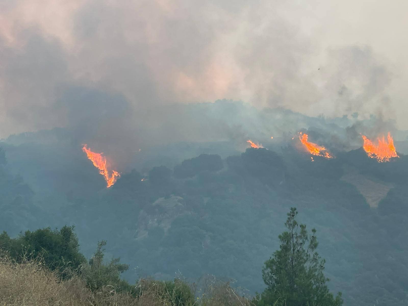 44Dfb50C 05Fb 4815 A02F 087520De42D2