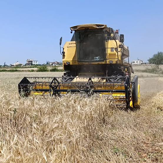 503747375 1135776141900606 6566958924960792459 N