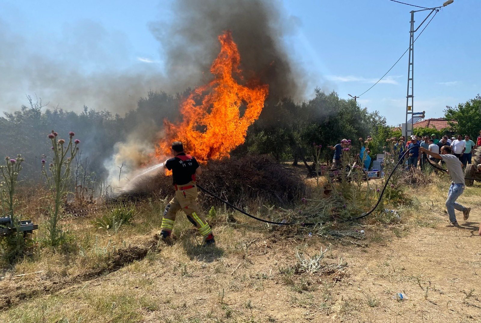 512739435 1312632560218760 1428314901521618309 N