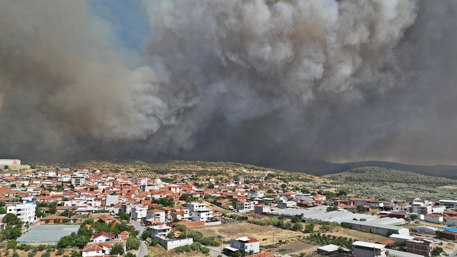 512791765 1312632380218778 1104572359742811849 N