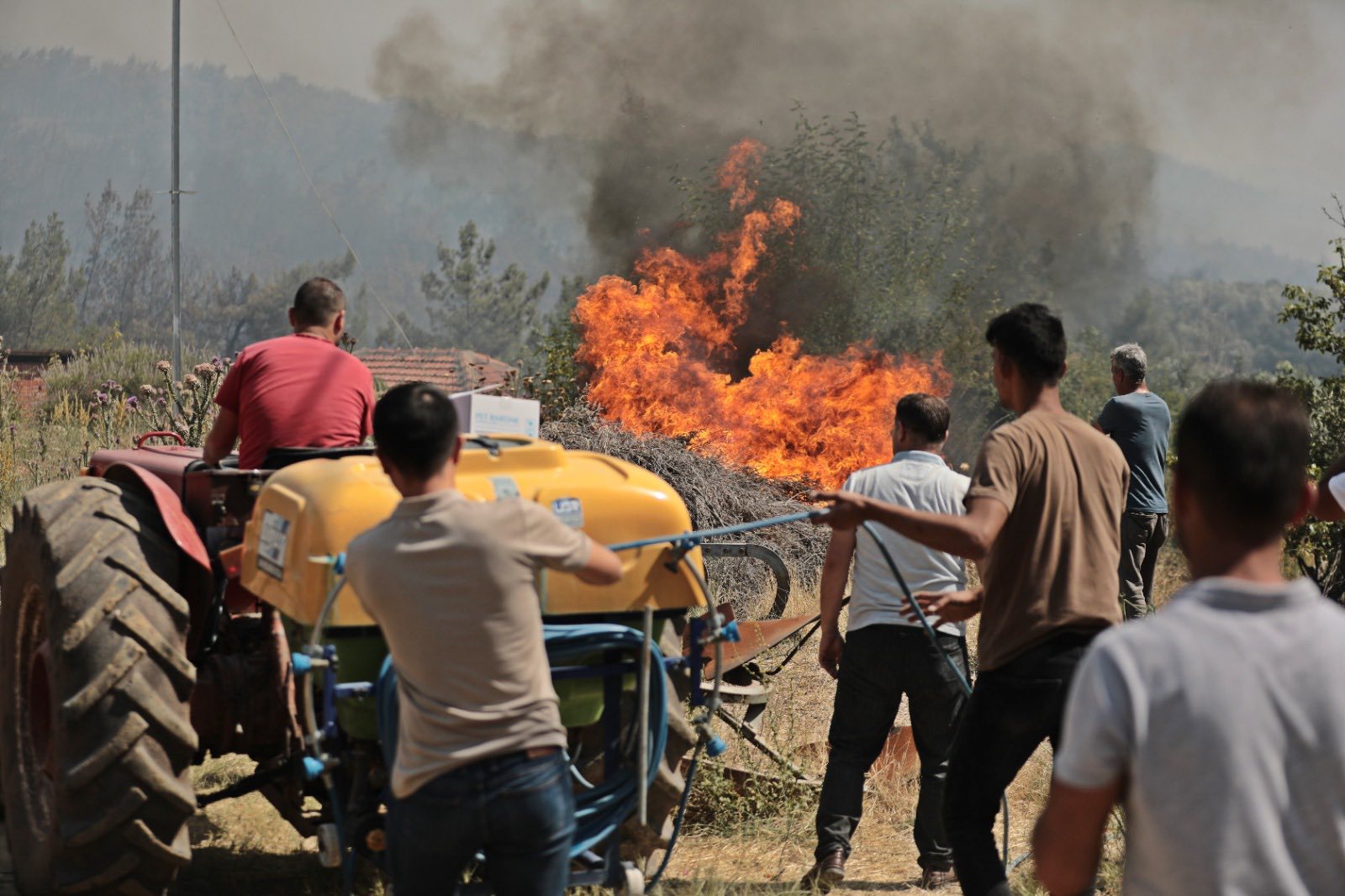 512936737 1312633146885368 8096712708994419138 N