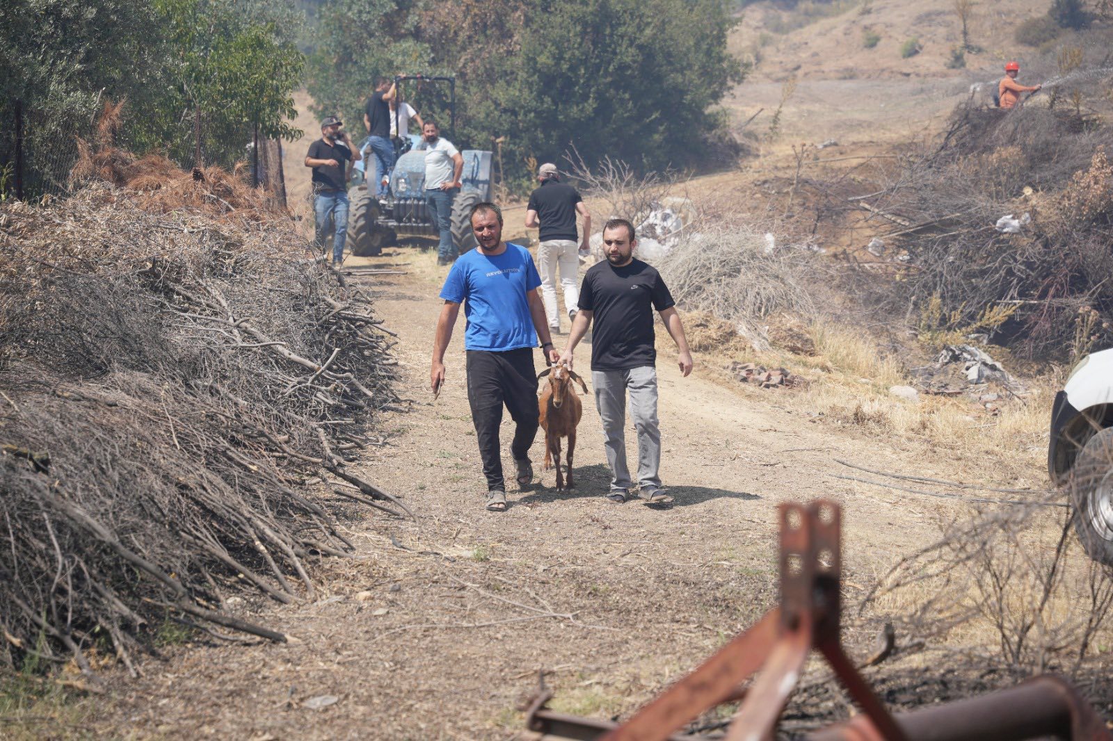 513029708 1312633110218705 2307548491561515620 N