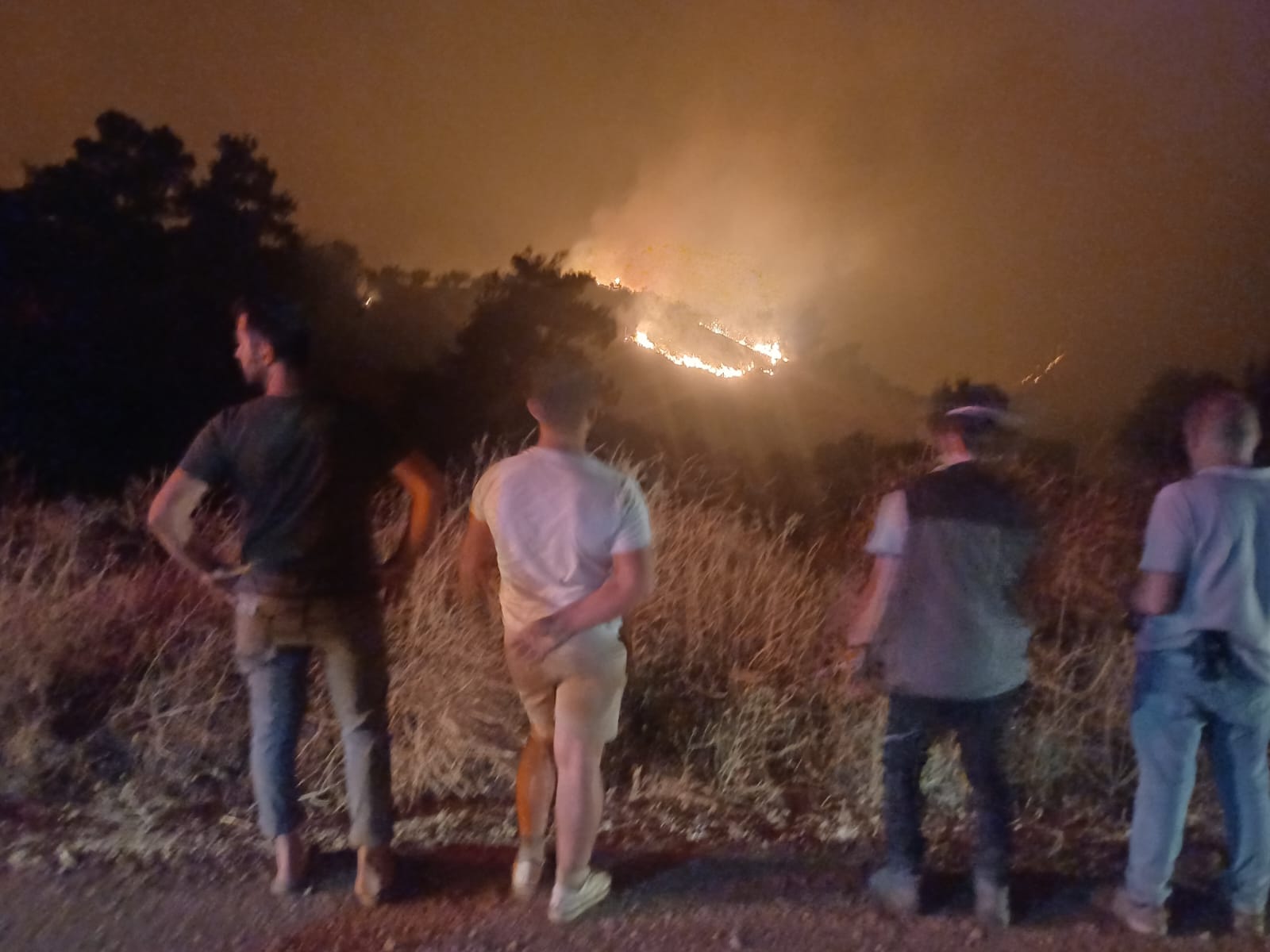 58Ecda87 3D3A 44A5 952F A8178E7Fa2C0