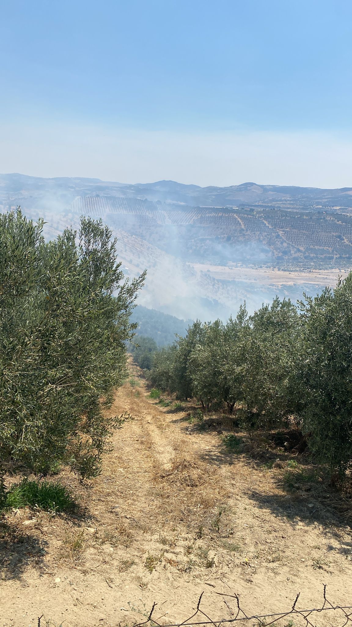 7A97C006 71Ed 4Fa7 8A56 D268220Bb4Eb