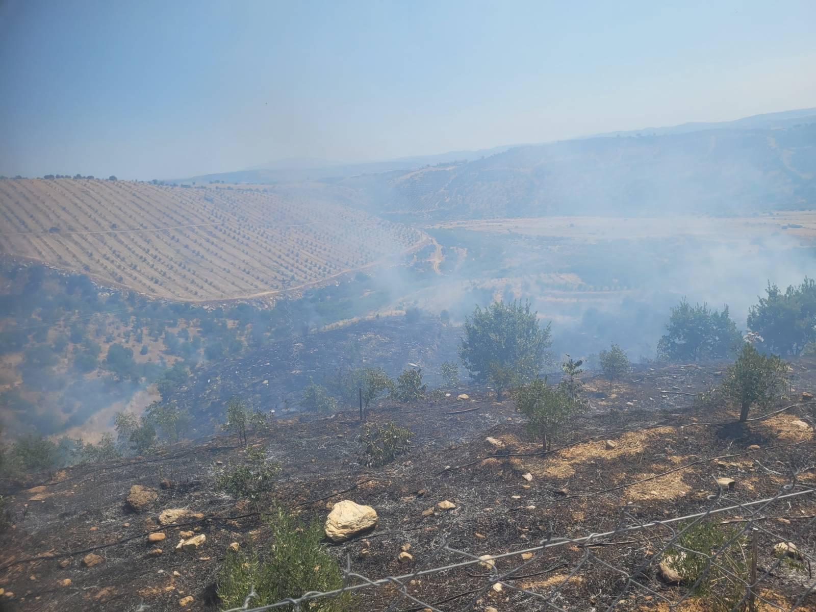 Df145D1C A68F 4949 8Cf0 F2E1D43B3853