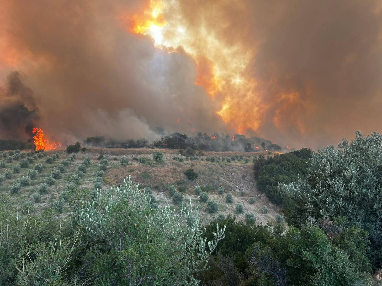 E61Ace74 1D9D 45Af 885F F505C721E5F3